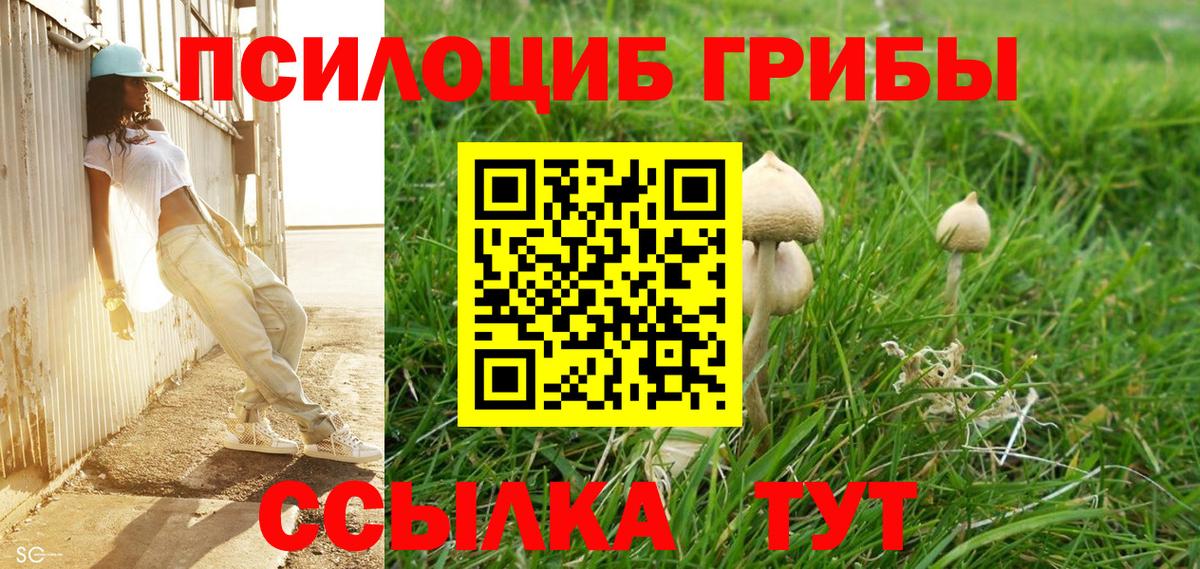 Галлюциногенные грибы GOLDEN TEACHER  Вход с VPN  Кондопога 