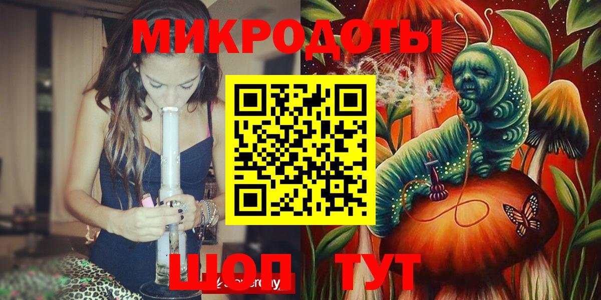 Псилоцибиновые грибы Cubensis Кондопога