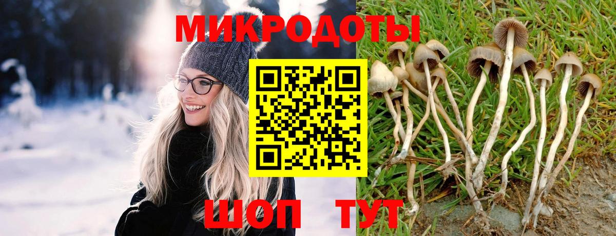 Alpha PVP СК кристаллы  Кондопога  Бошки Шишки  Вход с VPN  МЕФ   Гашиш  МЕТ 